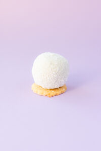 CAKEPOPS (60g)